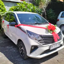 RENTAL + DRIVER