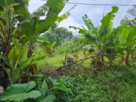JUAL CEPAT TANAH DEKAT PASAR PARUNG COCOK UNTUK TMPT TINGGAL/KONTRAKAN