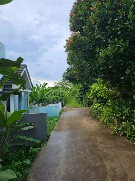 JUAL CEPAT TANAH DEKAT PASAR PARUNG COCOK UNTUK TMPT TINGGAL/KONTRAKAN