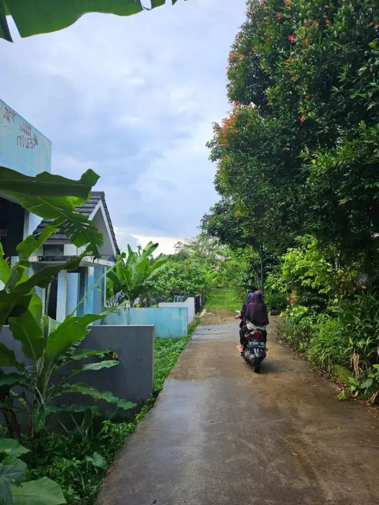 JUAL CEPAT BU TANAH DEKAT PASAR PARUNG