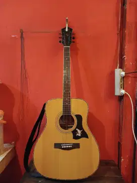 Gitar cort      .
