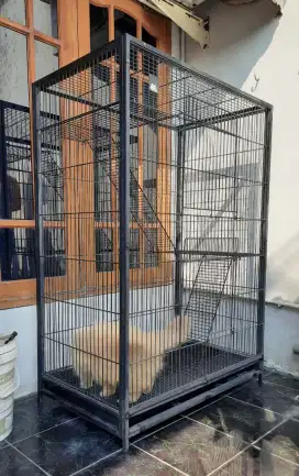 Kandang Kucing Besar, 2 tingkat