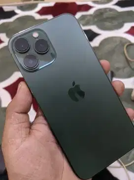 iPhone 13 pro max 255 wifi only