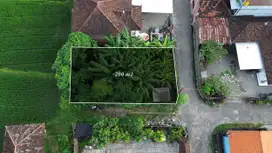 Tanah Kavling Dekat Jalan Utama Penarukan Buleleng