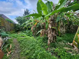 Rare Leasehold Located in Central Ubud.