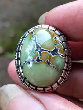 Cincin pirus Hubei