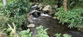 Jual tanah,sawah murah view sawah Los sungai jernih di tabanan Bal