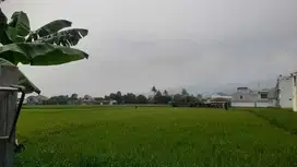 Tanah Sawah Luas Strategis Jalan Utama di Soreang