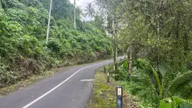 Jual tanah dekat pasar di tabanan bali