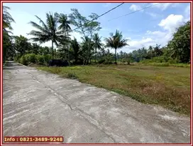 Investasi Tanah di Kulonprogo Area Bandara YIA Jogja : Cocok Kost