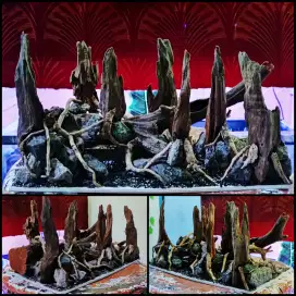 Hardscape Aquascape 33x20x25 Baru