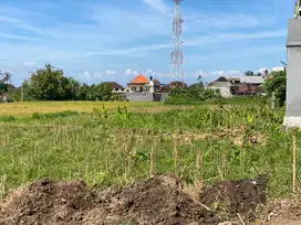 Tanah Kavlingan Premium Jl Segara Wilis Pering Balah Batuh Gianyar