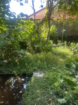 For sale land at pantai gumucik ketewel view sawah
