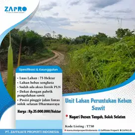 Jual lahan peruntukan kebun sawit di solok selatan