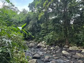 Dijual tanah murah dengan sungai di tabanan bali