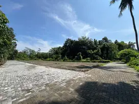 Tanah Murah Jogja Lingkungan Kos Premium, SHM P