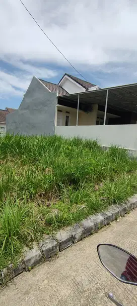Dijual tanah borneo paradiso richwood