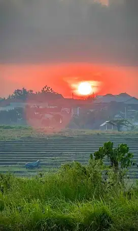 Tanah Jalan Subak Canggu Berawa