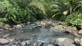 Jual tanah kebun Los sungai indah di tabanan bali