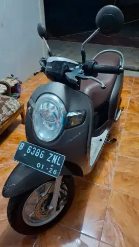 HONDA SCOOPY 2021 JUAL CEPAT & BU