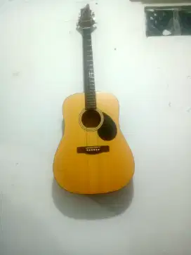 Gitar samick greg bennett