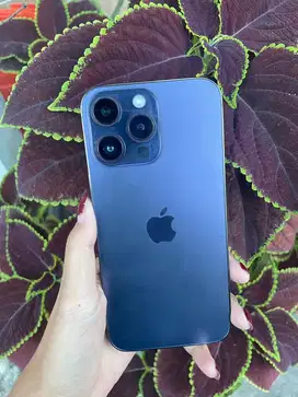 Iphone 14 Pro Max 256GB IBOX