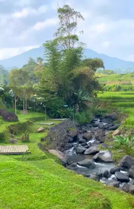TANAH PINGGIR SUNGAI VIEW BAGUS DI CIMAUNG BANDUNG