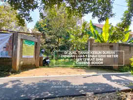 TANAH KEBUN MURAH KEBUN DURIAN DAN STRATEGIS DI CISEENG BOGOR
