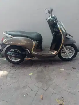 Scoopy butuh 2021