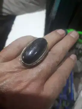 Batu fosil kelor natural jumbo
