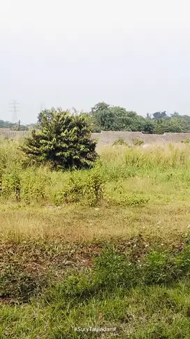 DIJUAL TANAH KOSONG STRATEGIS PINGGIR JALAN DESA RAWAKLONG GN SINDUR