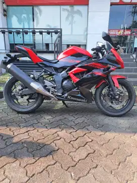 Ninja 250 SL Mono, pemakaian pribadi