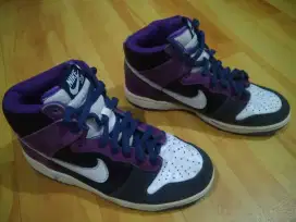 Sepatu Nike SB Dunk Pro