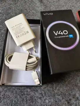 charger original vivo 80 watt
