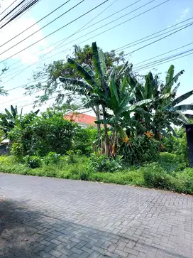 Tanah Kavling Strategis di Condongcatur dekat Jalan Gejayan