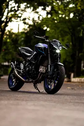 YAMAHA MT-25 2023
