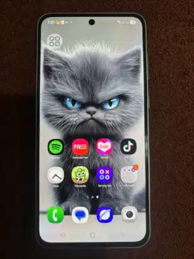 Samsung A56 Olive 12 Gb/256 Gb Garansi On