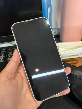 Iphone 13 starlight