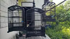 Jual borongan sangkar bekas