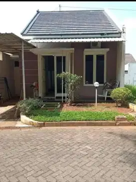 Rumah Sewa Kontrak Graha Harmoni Dekat UNDIP  Tembalang