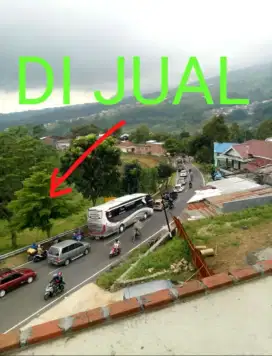 Dijual Tanah Pertanian SHM Dekat Telaga Sarangan – Magetan, View Alam