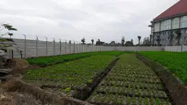 Dijual Tanah Strategis di Pesanggrahan, Kota Batu