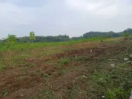 Tanah Mangunharjo Sendangmulyo Dekat UNDIP Tembalang