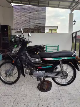 Astrea grand bulus