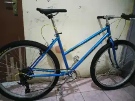 Sepeda federal lady 26