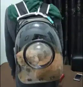 Tas Kucing Astronot Astronout Cakep