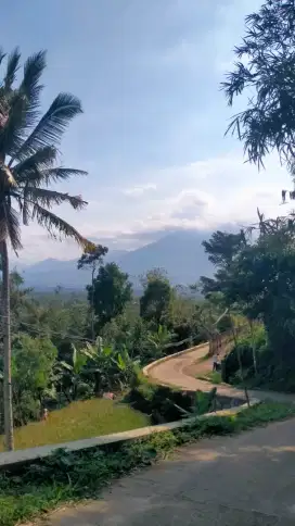 Tanah strategis View Gunung salak MDPL 700 di ciawi bogor