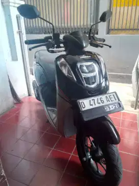 Honda genio mulus