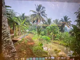 Dijual kolam di banyumili semampir banjarnegra