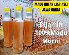 MADU HUTAN LIAR ASLI JAWA BARAT